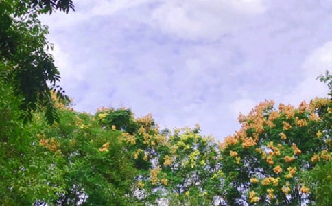 �ڄӷ�����Ҏ��������͵�Ҏ���᣿