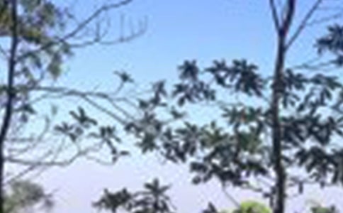 ������ƙzӑ��(sh��)����500�֣�ͨ��5ƪ��