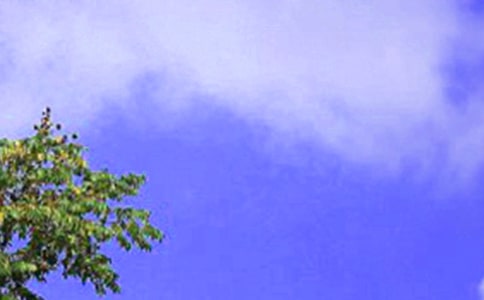 [���A]���õ���������300��3ƪ