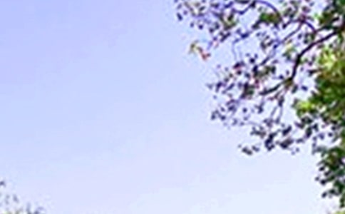 特別適合中午發的說說340句