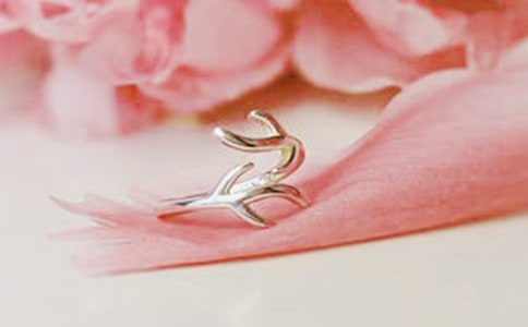 ��һ�錚���(d��ng)�߄�