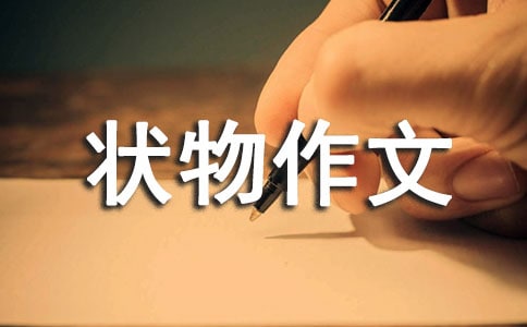 【精選】狀物作文300字30篇