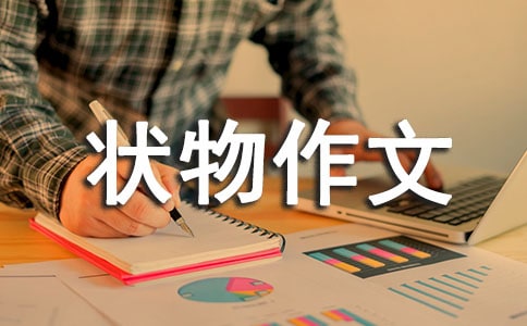 �����T���������ļ�����ƪ