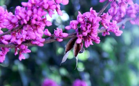 ���G�����S������