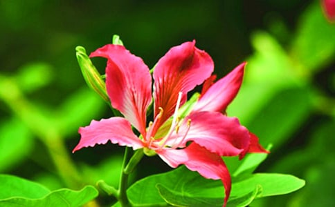 (����)���G��������