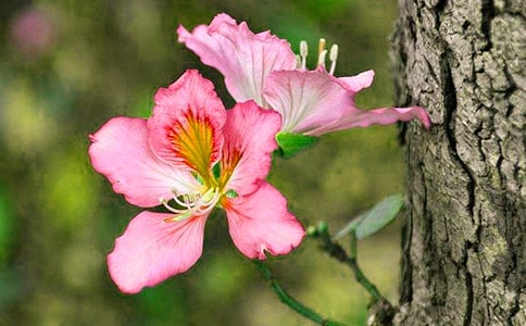 ���������G������