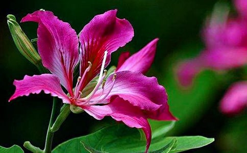 �茑���G���ĺ��~�þ�ö�