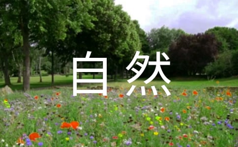 ����Ȼ���ǻ۴�ȫ��14ƪ��