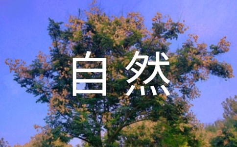 描寫自然風(fēng)光的詞語(yǔ)及解釋
