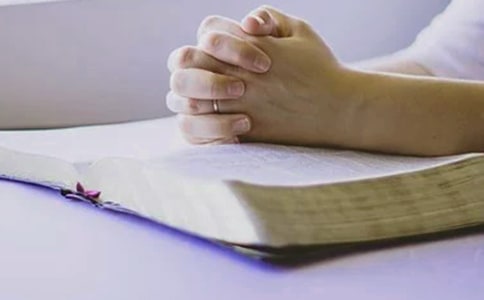 網頁設計總結500字