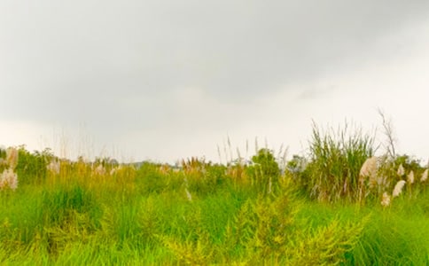 《走進和諧的春天》讀后感