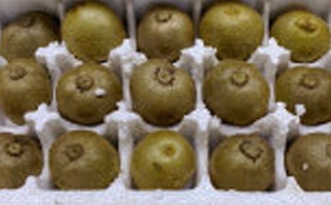 �P�ګJ���ҵ�����