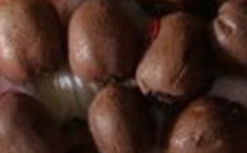 獼猴桃的自述作文