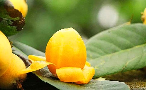 ժ��������15ƪ���ᣩ