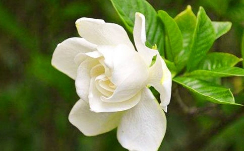 �d�ӻ��_���ġ�����15ƪ��