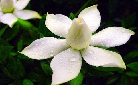 �d�ӻ��_����15ƪ[�]]