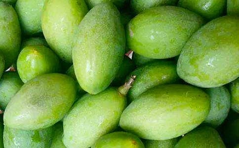 ��������Ҳ��^һö���ϙ�����21ƪ