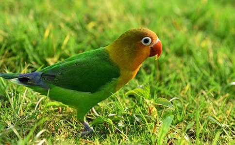 ��Ƥ�W�^���ă�(y��u)�x[15ƪ]