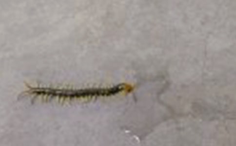 ���P����Ъ���Z