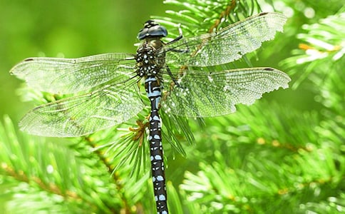 ׽�������ġ���Ʒ��