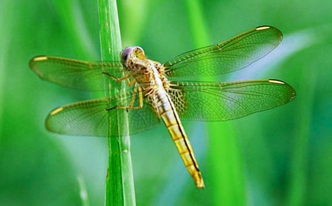 [��Ʒ]����������20ƪ