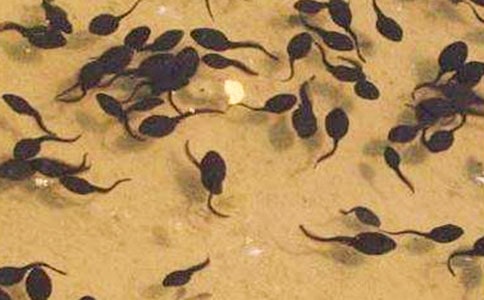 �ɐ۵�С������ġ�����15ƪ��