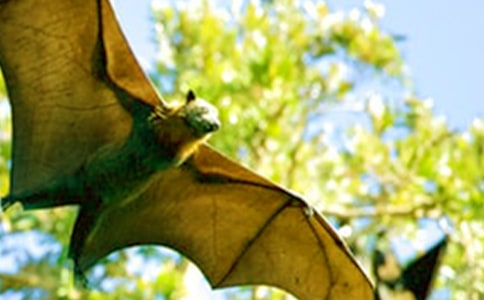 �������������