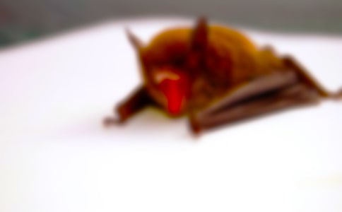 [����]���������31ƪ