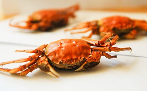 ���з����(���\15ƪ)