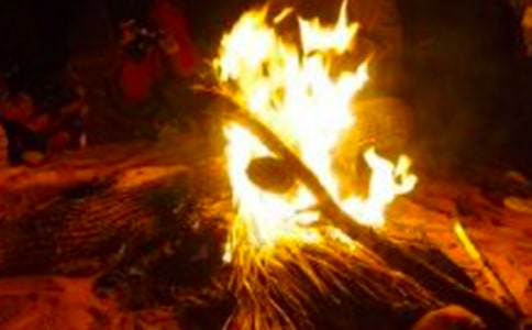 �����������15ƪ[���A]