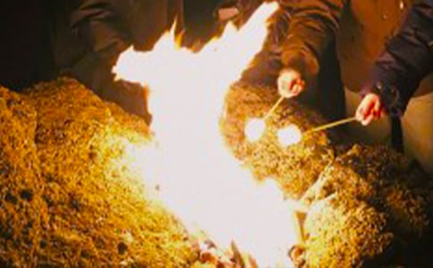 篝火晚會作文14篇(精華)