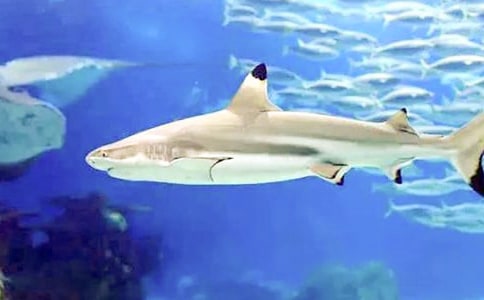 ���~����������