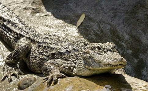 ahvvfoc�C-ȯ������������{�~��