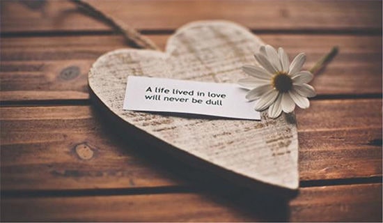 ����ף������(15ƪ)